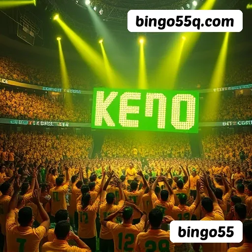 App bingo55 apostas esportivas mobile